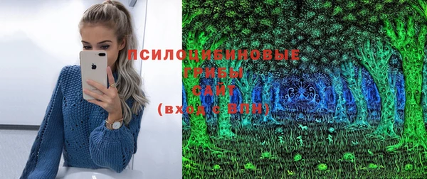 apvp Надым