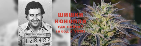 трава Наволоки