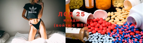 apvp Надым