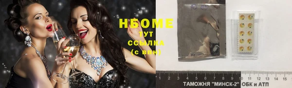 трава Наволоки