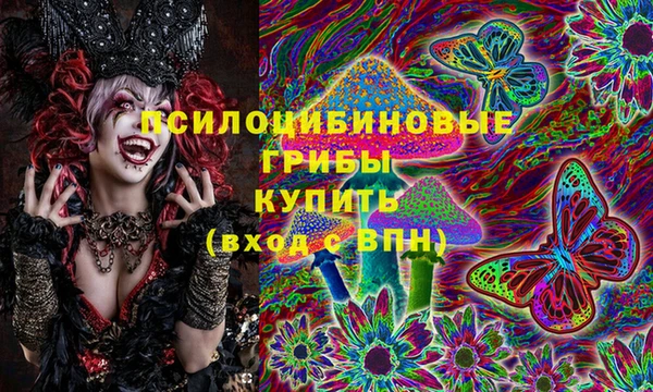 трава Наволоки