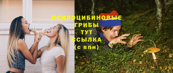 трава Наволоки