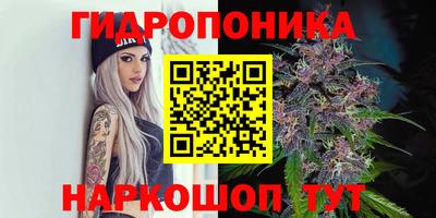 первитин Заводоуковск