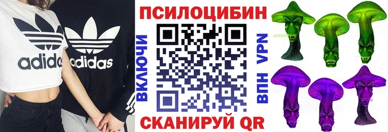 где купить наркоту  Камышин  Псилоцибиновые грибы GOLDEN TEACHER 